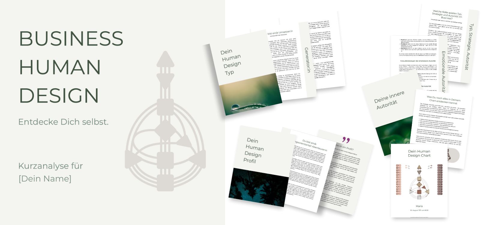 Business Human Design Kurzanalyse Business Human Design Kurzanalyse